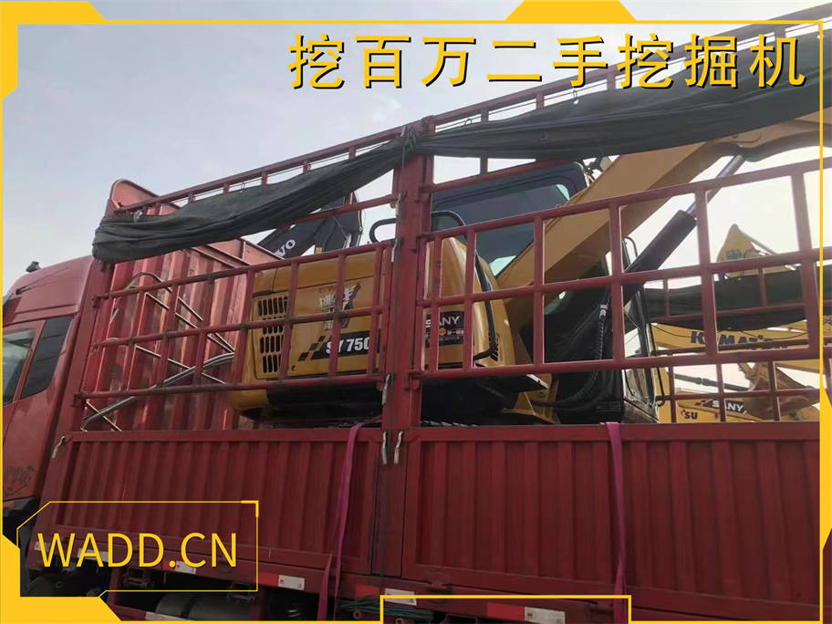 wadd.cn11.jpg