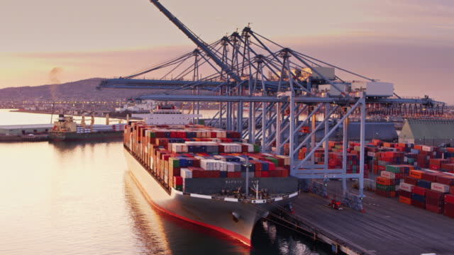 挖機出口的常見問題及解決方案 Common Issues and Solutions for Exporting Excavators
